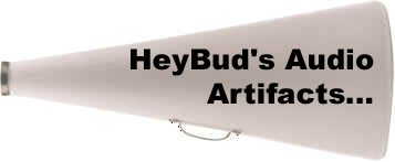 megaph1 copy.gif (15220 bytes)